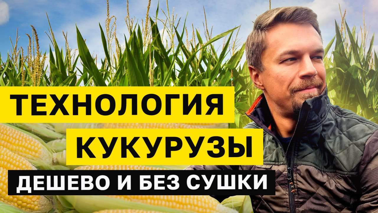 Кукуруза Порно Видео | psk-rk.ru