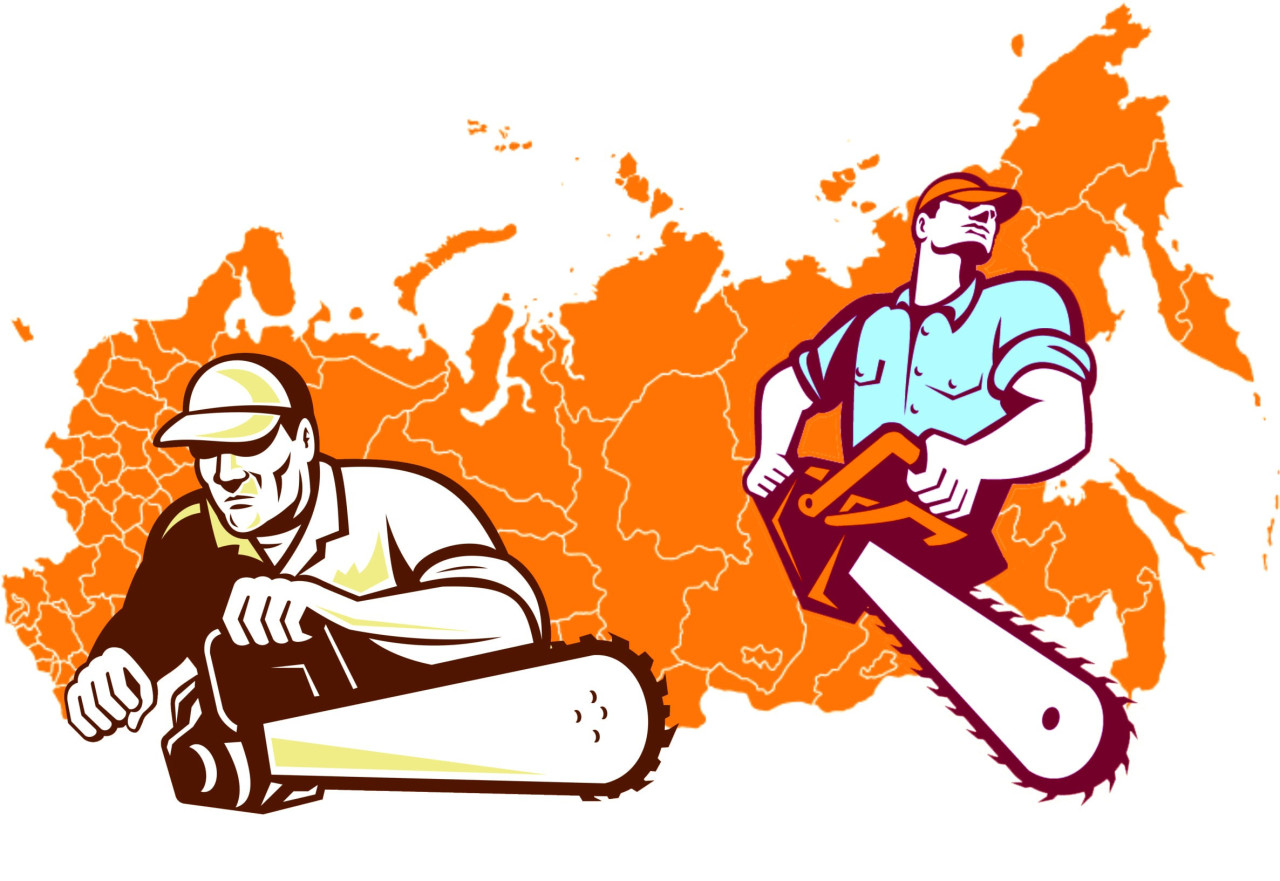 Вырубка утилизация. Вырубка утилизация