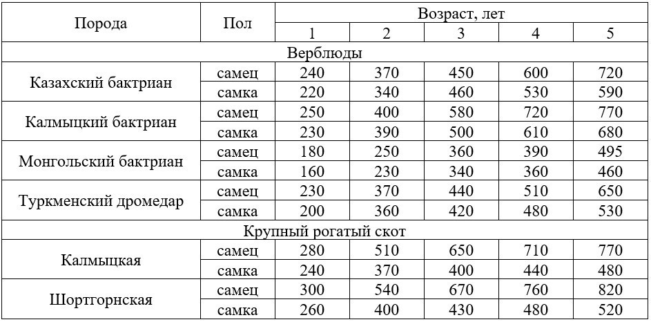 Таблица 1. Динамика живой массы
верблюдов в сравнении со скотом мясных пород (для животных I
класса), в килограммах