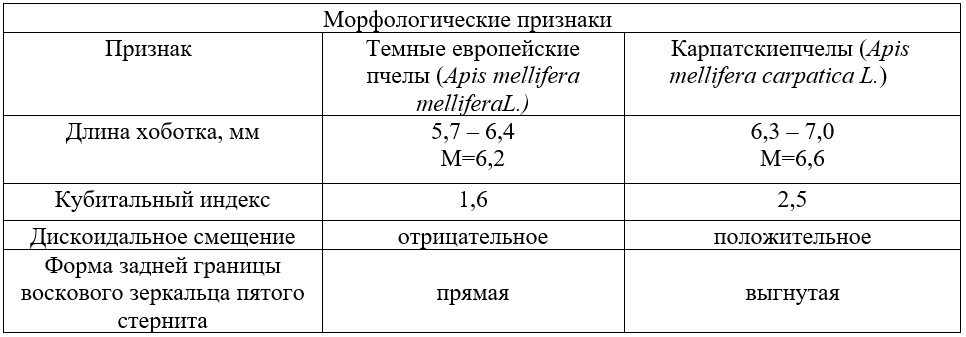 Таблица 1. Наиболее контрастные признаки рабочих пчел для экспресс-теста при установлении различий между подвидами&nbsp;<i>ApismelliferamelliferaL</i><i>.&nbsp;</i>и<i>ApismelliferacarpaticaL</i><i>.&nbsp;</i>(<i>Морфологические признаки приведены по Губину В.А., Черевко Ю.А., 1988)</i>