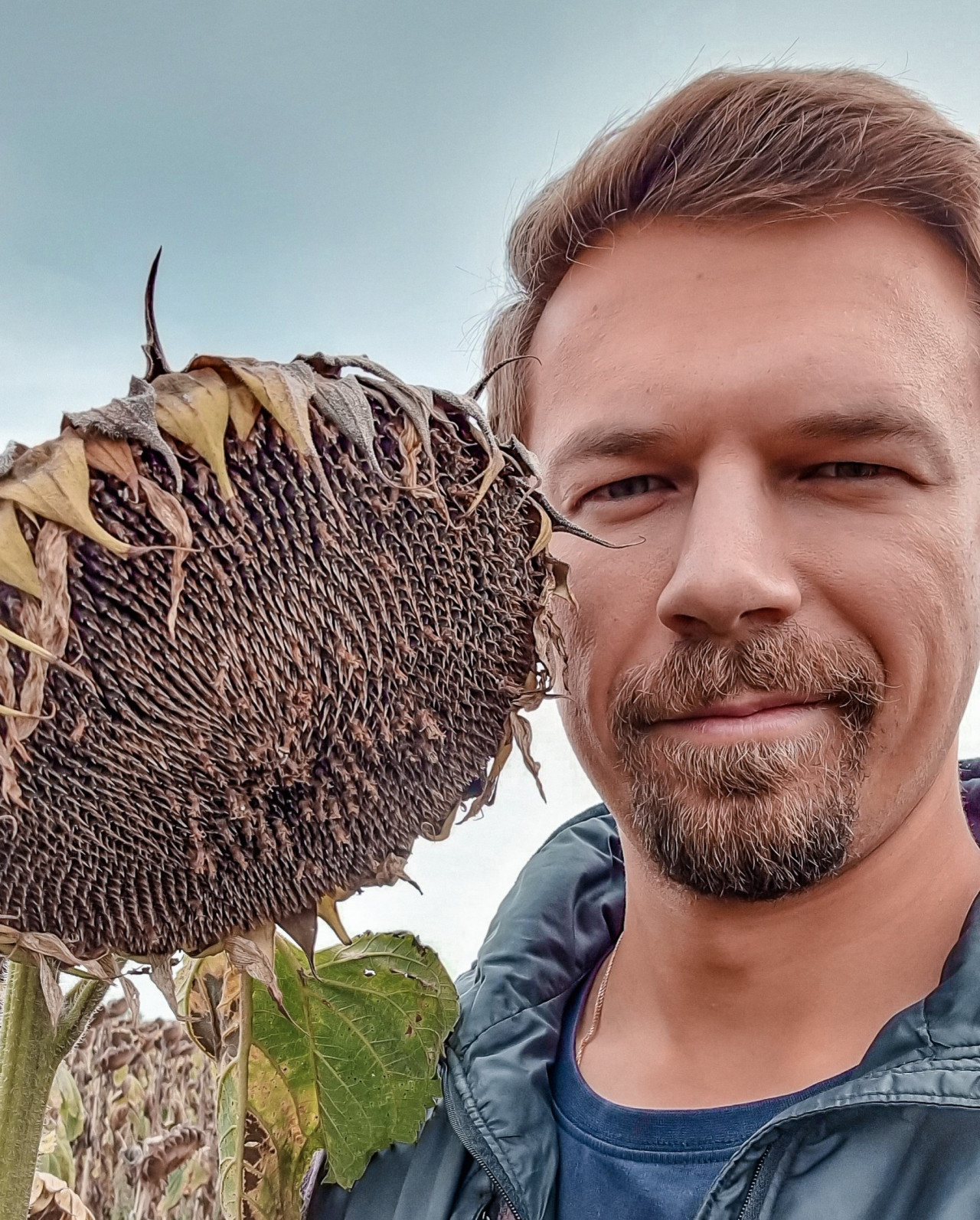 АНАЛИЗ ЦЕН НА ПОДСОЛНЕЧНИК - Аграрная социальная сеть